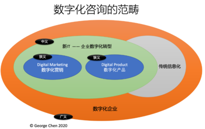 究竟什么咨询服务算是“数字化咨询”