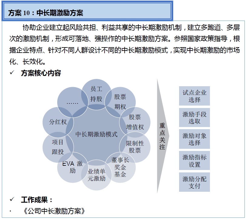 中美嘉伦“双百行动”国企改革咨询服务产品手册