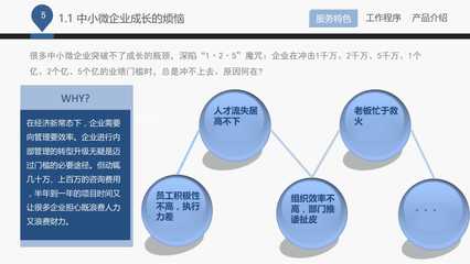 Mini咨询服务手册人力资源咨询产品推介实用PPT教学课件