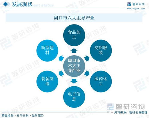 河南周口市新质生产力 产业体系构建取得新突破,主导优势产业集聚