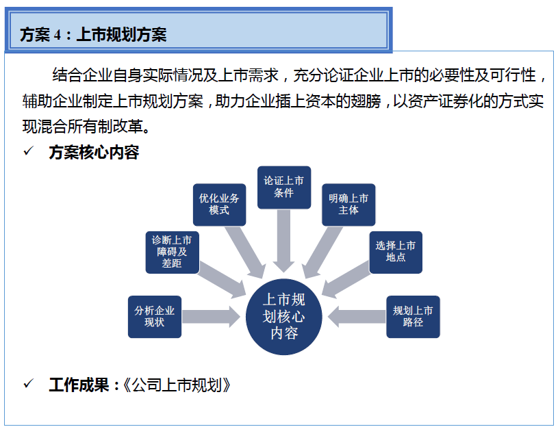 中美嘉伦“双百行动”国企改革咨询服务产品手册