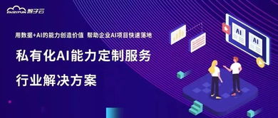 智子云发布私有化AI能力定制服务白皮书，助力企业AI转型与咨询